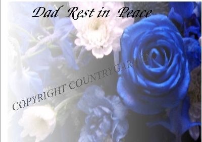 Dad rest in peace DAD7